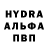 Конопля гибрид Andryshka Svetliy
