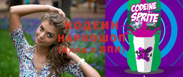шишки Сосновый Бор