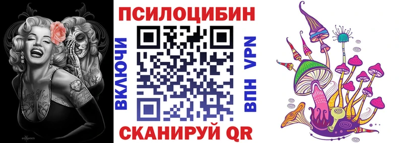 где купить наркоту  Дыгулыбгей  Псилоцибиновые грибы Psilocybe 